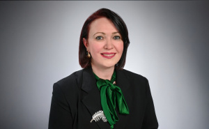 Foto: Detektor.ba / Velida Tinjak