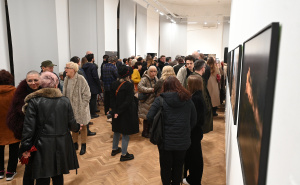 Foto: N.G / Radiosarajevo.ba / Izložba "Homo faber"