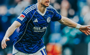 Foto: FC Schalke 04 / Edin Džeko