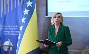 Foto: N. G. / Radiosarajevo.ba / Sanela Karić, predsjednica VSI