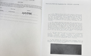 Foto: Dž. K. / Radiosarajevo.ba / Dokument o lobiranju Dodika