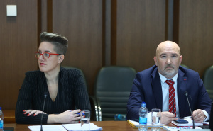 Foto: Dž. K. / Radiosarajevo.ba / Saslušanje BH ANSA u Parlamentu BiH