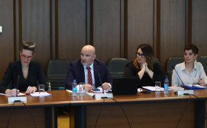 Foto: Dž. K. / Radiosarajevo.ba / Saslušanje BH ANSA u Parlamentu BiH