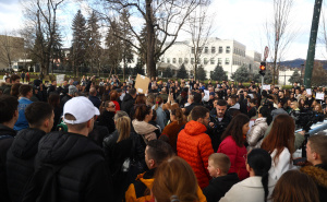Foto: Dž.K. / Radiosarajevo.ba / Protest u Sarajevu, 14. februar