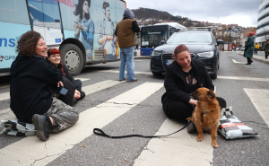 Foto: Dž. K. / Radiosarajevo.ba / Pas Moka na protestima