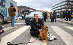 Foto: Dž. K. / Radiosarajevo.ba / Pas Moka na protestima