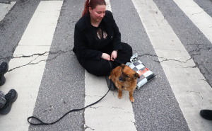 Foto: Dž. K. / Radiosarajevo.ba / Pas Moka na protestima