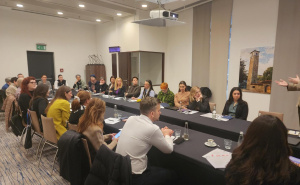 Foto: Transparency International BiH / Predstavljanje studije