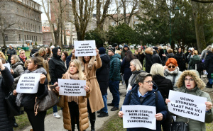 Foto: A. K. / Radiosarajevo.ba / Mirni protesti radnika zdravstva ispred Vlade KS