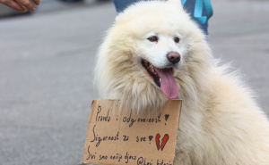 Foto: A.K./Radiosarajevo.ba / Protesti u Sarajevu