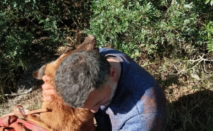 Foto: HGSS / Akcija spašavanja psa i čovjeka