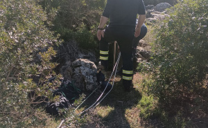 Foto: HGSS / Akcija spašavanja psa i čovjeka