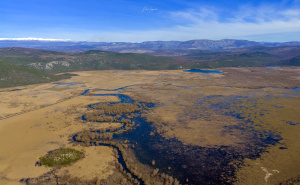 Foto: Boris Trogrančić / Hutovo blato