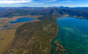 Foto: Boris Trogrančić / Hutovo blato