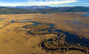 Foto: Boris Trogrančić / Hutovo blato