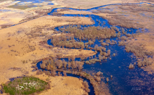 Foto: Boris Trogrančić / Hutovo blato