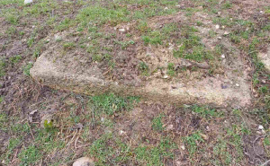 Foto: Bassania / Stećci u Goduši (Visoko)