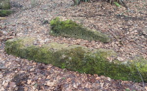 Foto: Fondacija "Čuvari baštine - Bassania" / Nekropola stećaka
