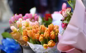 Foto: Dž. K. / Radiosarajevo.ba / Šetnja Sarajevom uoči Dana žena