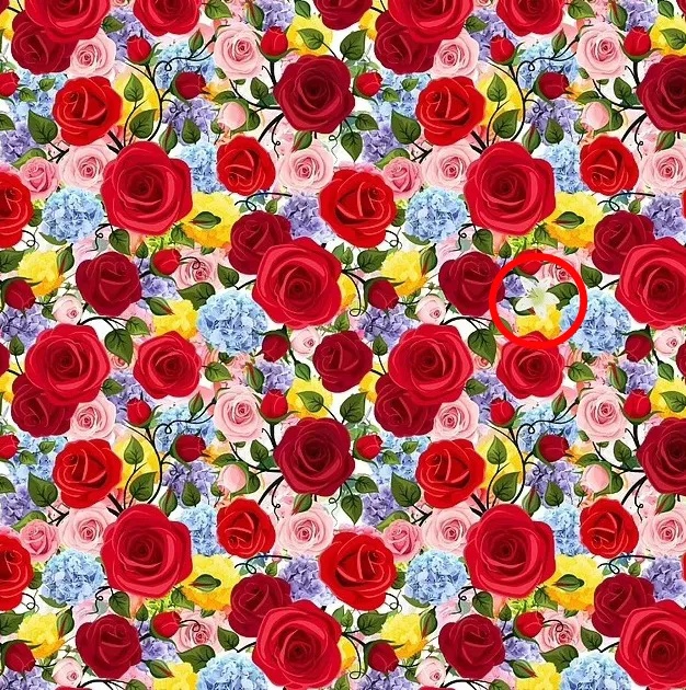 Evo gdje se skrio bijeli ljiljan