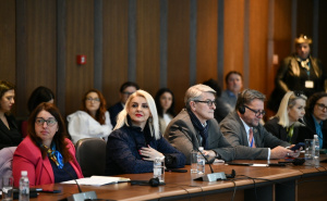 Foto: A.K./Radiosarajevo.ba / Položaj žena s invaliditetom