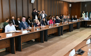 Foto: A.K./Radiosarajevo.ba / Položaj žena s invaliditetom