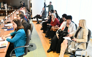 Foto: A.K./Radiosarajevo.ba / Položaj žena s invaliditetom