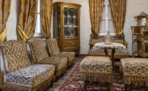 Foto: Služba za protokol i press KS / Despića kuća