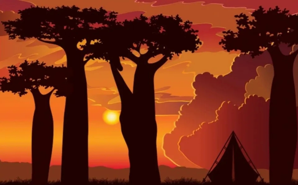 Možete li uočiti žirafu