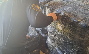 Foto: UIO BiH / Akcija UIO "Tranzit 2"