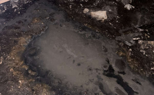 Foto: Ustupljene fotografije / Fekalije u ulici Hamdije Čemerlića 14