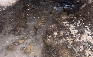 Foto: Ustupljene fotografije / Fekalije u ulici Hamdije Čemerlića 14