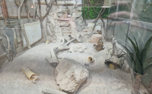 Foto: KJKP Park Sarajevo / Nove životinjske vrste