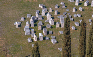 Foto: Boris Trogrančić / Nekropola stećaka Radimlja