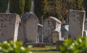 Foto: Boris Trogrančić / Nekropola stećaka Radimlja