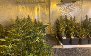 Foto: MUP KS / Pronađene dvije laboratorije za uzgoj marihuane