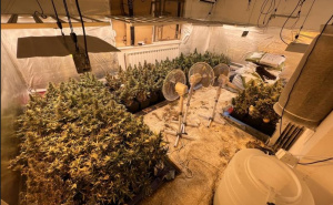 Foto: MUP KS / Pronađene dvije laboratorije za uzgoj marihuane