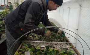 Foto: Ambasada Velike  Britanije / Podrška i projekt Ambasade Velike Britanije