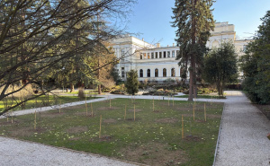 Foto: Ambasada Velike  Britanije / Podrška i projekt Ambasade Velike Britanije