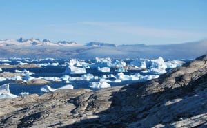 Foto: Pexels / Arktik