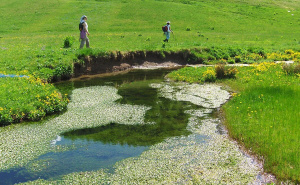 Foto: Ustupljena fotografija / Umoljani @bracobabic
