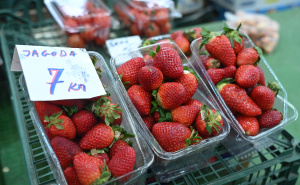 Foto: N. G. / Radiosarajevo.ba / Cijene jagoda na sarajevskoj pijaci