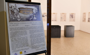 Foto: A.K./Radiosarajevo.ba / Sjajna izložba u Zemaljskom muzeju