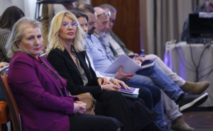 Foto: N. G. / Radiosarajevo.ba / Konferencija "Medijske slobode u BiH: Od reformskih prioriteta ka strateškom okviru razvoja medija"