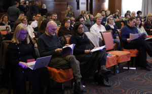 Foto: N. G. / Radiosarajevo.ba / Konferencija "Medijske slobode u BiH: Od reformskih prioriteta ka strateškom okviru razvoja medija"