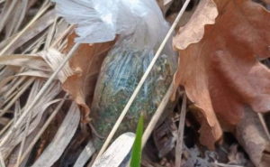 Foto: MUP TK / Pretresi u Tuzli