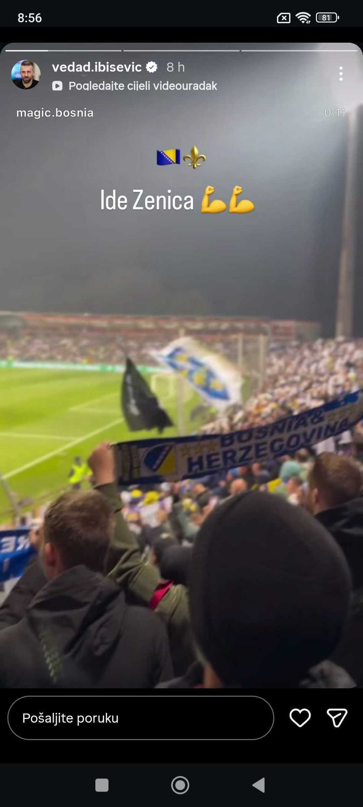 Story Vedada Ibiševića