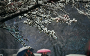 Foto: A. K. / Radiosarajevo.ba / Snijeg u Sarajevu, 27. mart 2026.