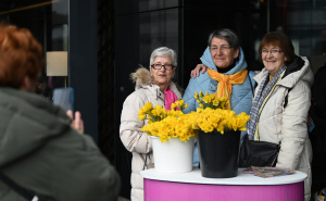 Foto: N.G./Radiosarajevo.ba / Dan narcisa