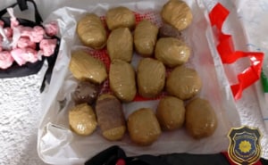 Foto: FUP / Zapljena droge u Sarajevu